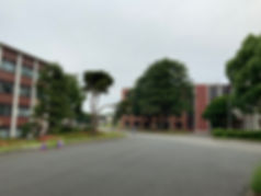 E9387E7C-1F94-4847-922B-185B84FD8AEB (1)