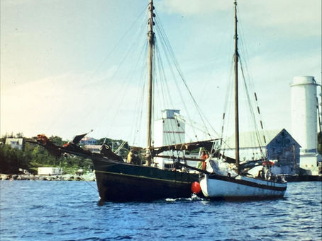 Prolog til jakta Oline på hennars 150 årsdag.