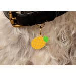 Thumbnail: Pineapple Pet Tag