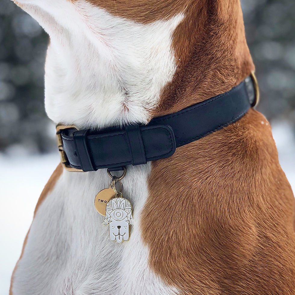 Thumbnail: Hamsa Pet Tag