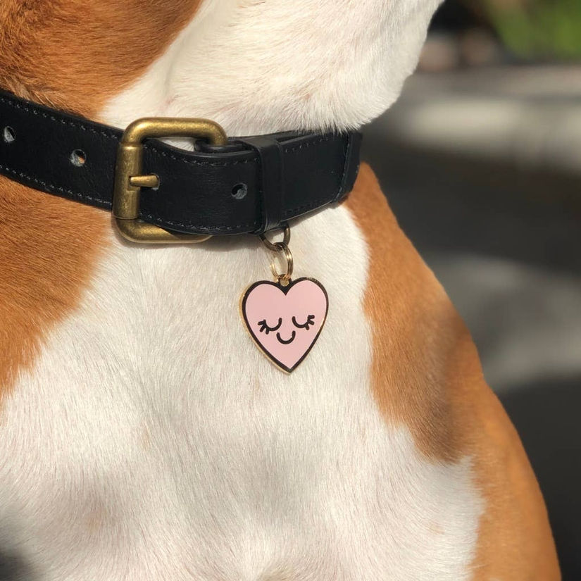Thumbnail: Smiling Heart Pet Tag