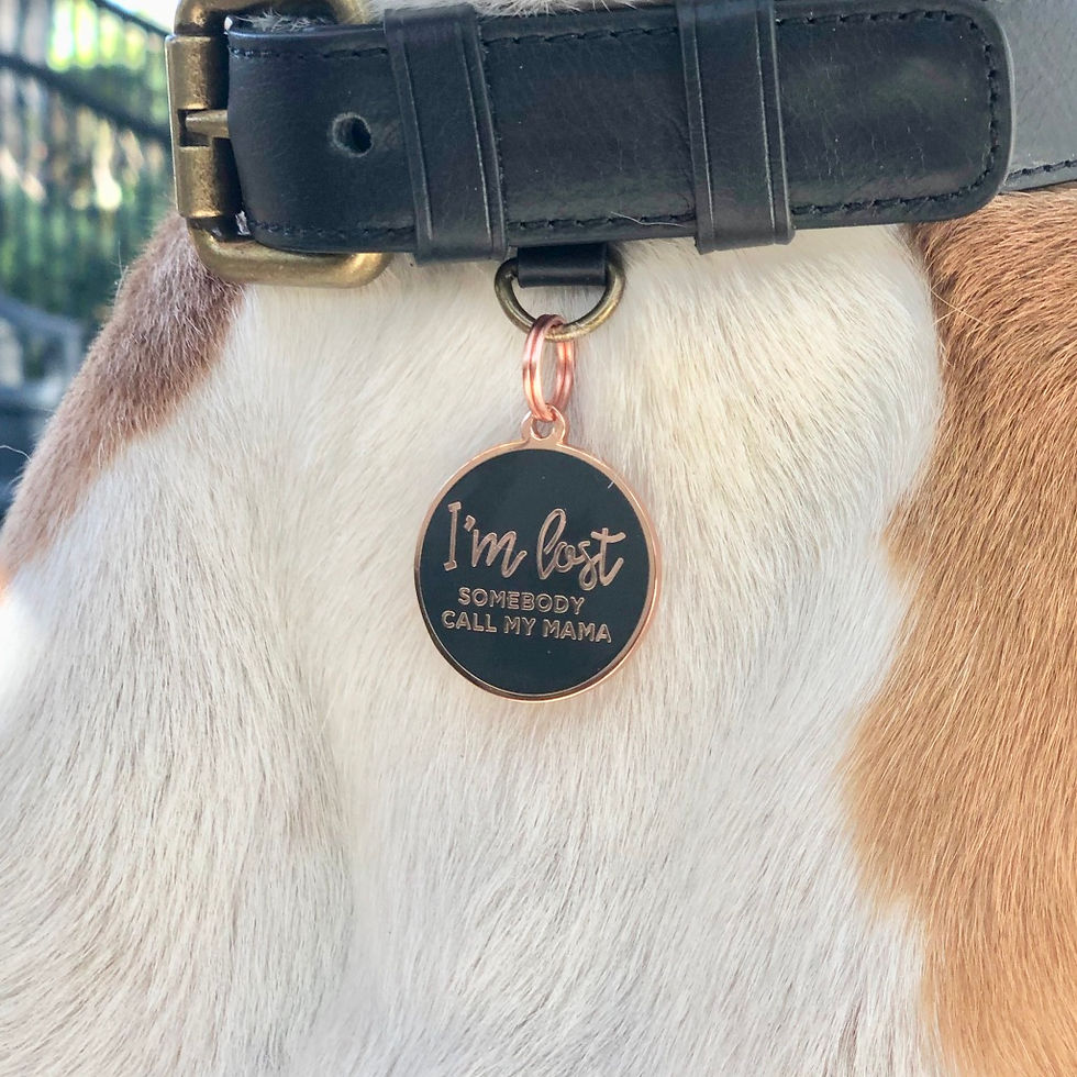 Thumbnail: I'm Lost Pet Tag