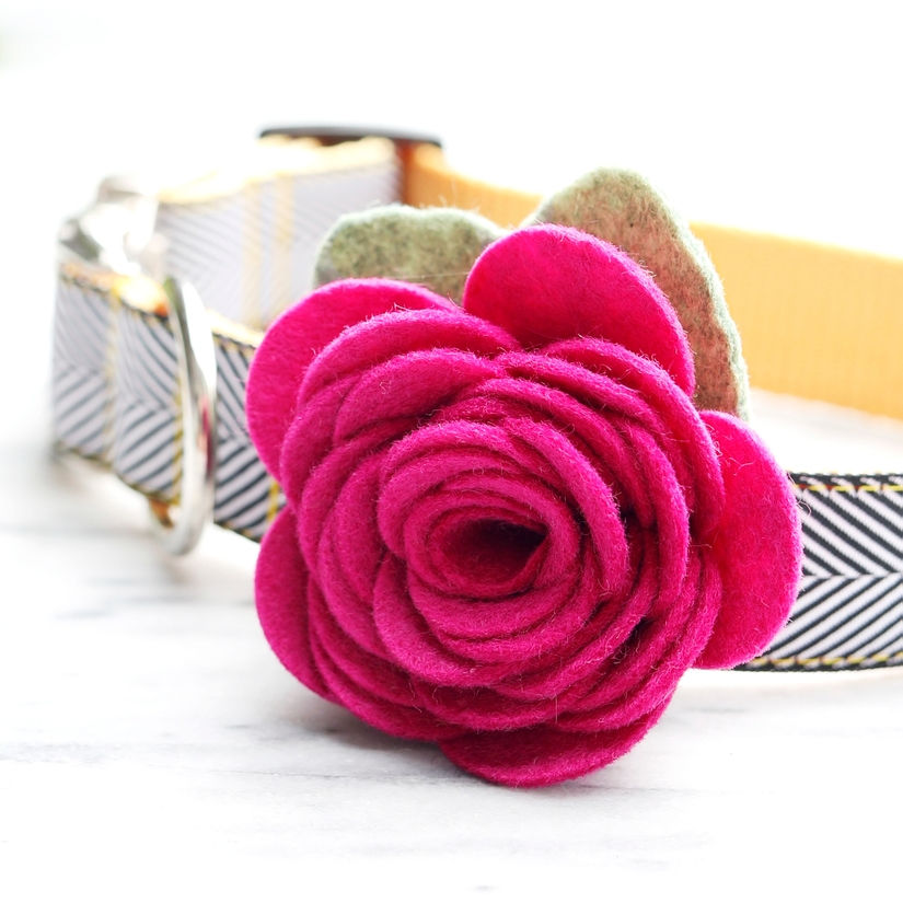 Thumbnail: Dog Collar Rose Flower