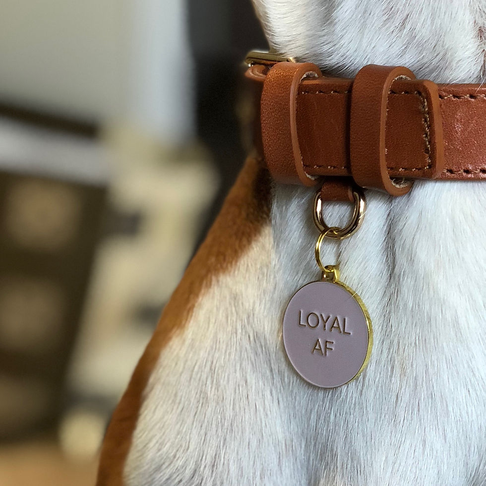 Thumbnail: Loyal AF Pet Tag