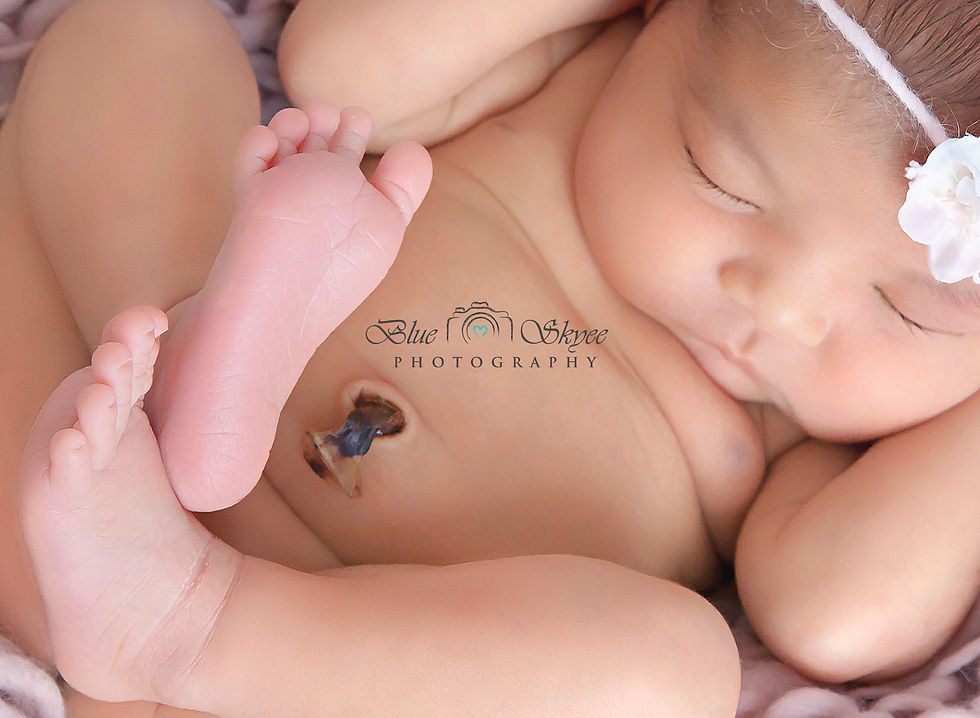 IMG_3136 copy2