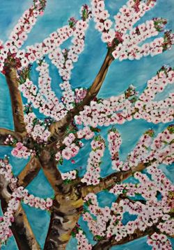 Cherry Tree