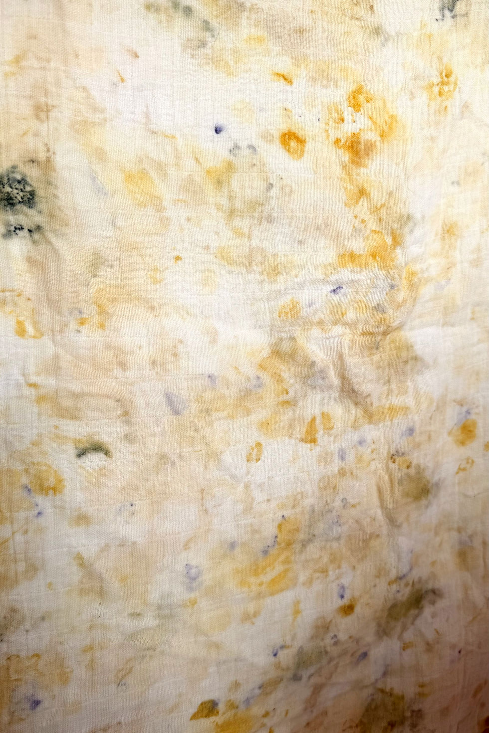 Thumbnail: Plant Dyed Muslin Blanket | Cotton Swaddle | Butter Yellow