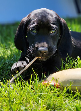 483467923_1195394225920809_1537127297466761474_n (1).jpg