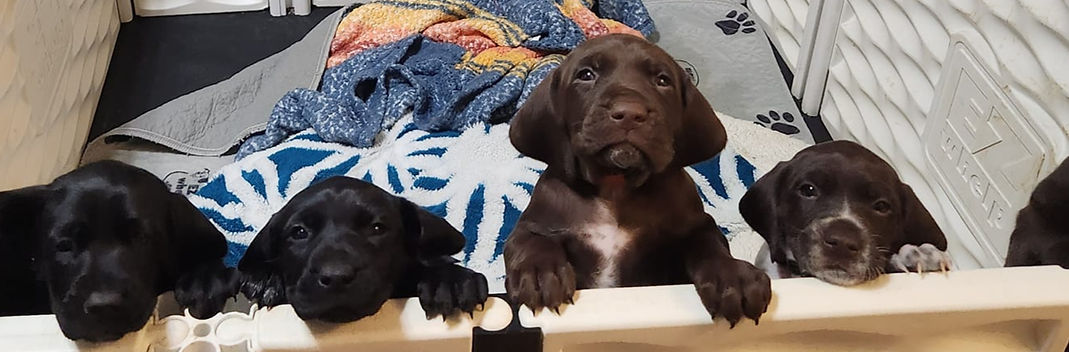 492998979_1234233972036834_5193220241782