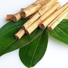 Cinnamonn Leaf