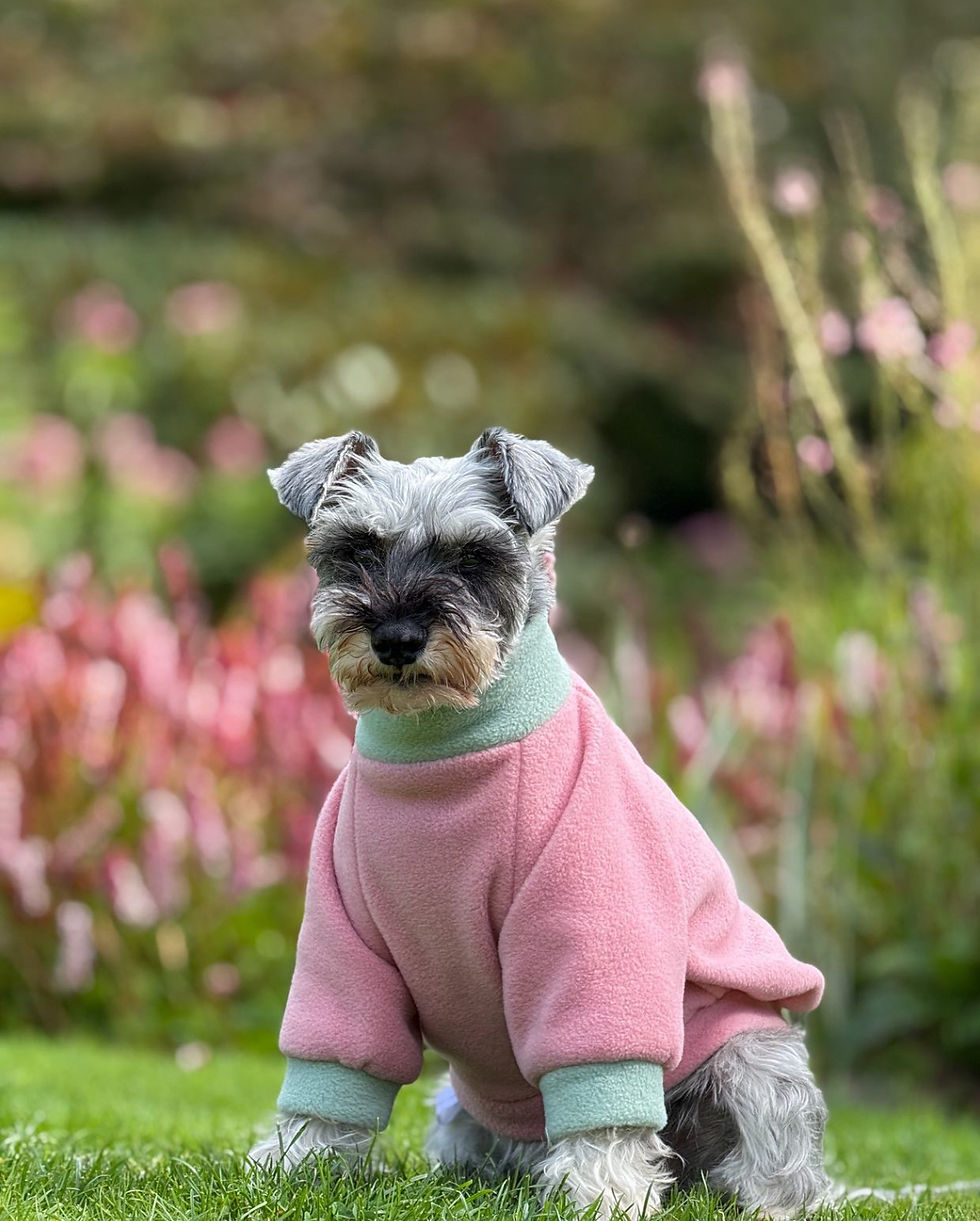 dogfleece-dogfleecejumper-dogfleecepink