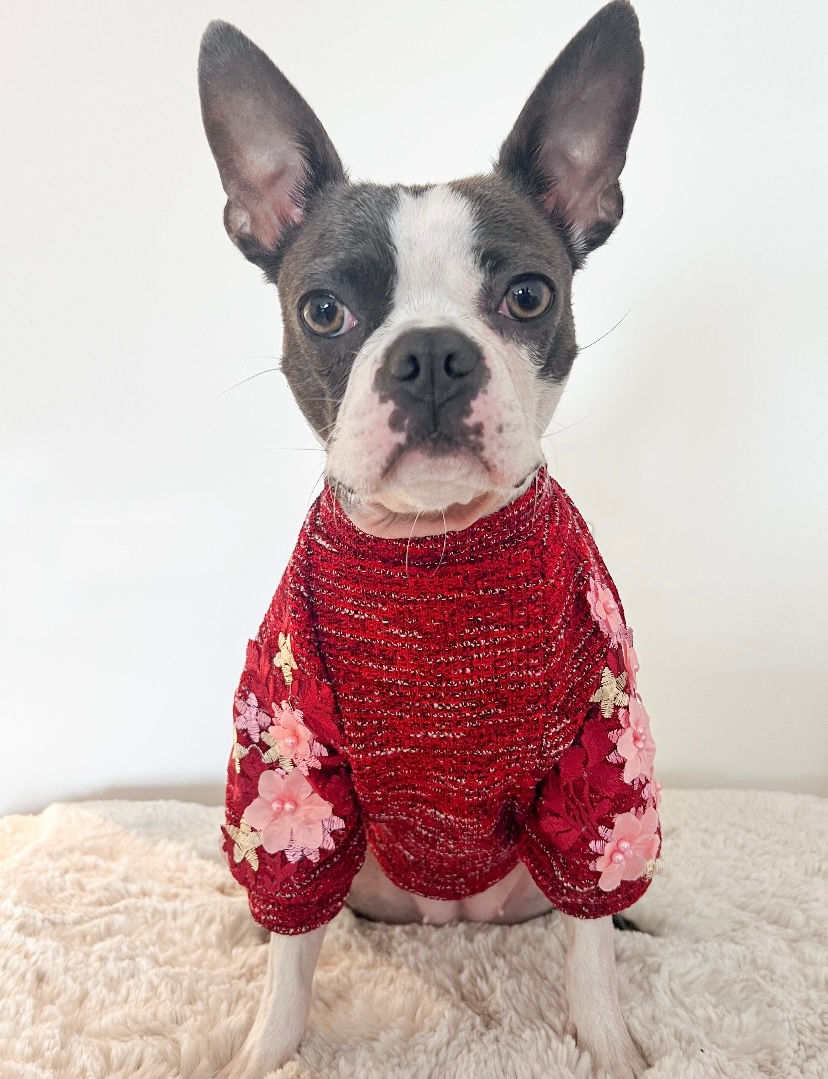 Thumbnail: Chewnel - Handmade Tweed  Knit Jumpers