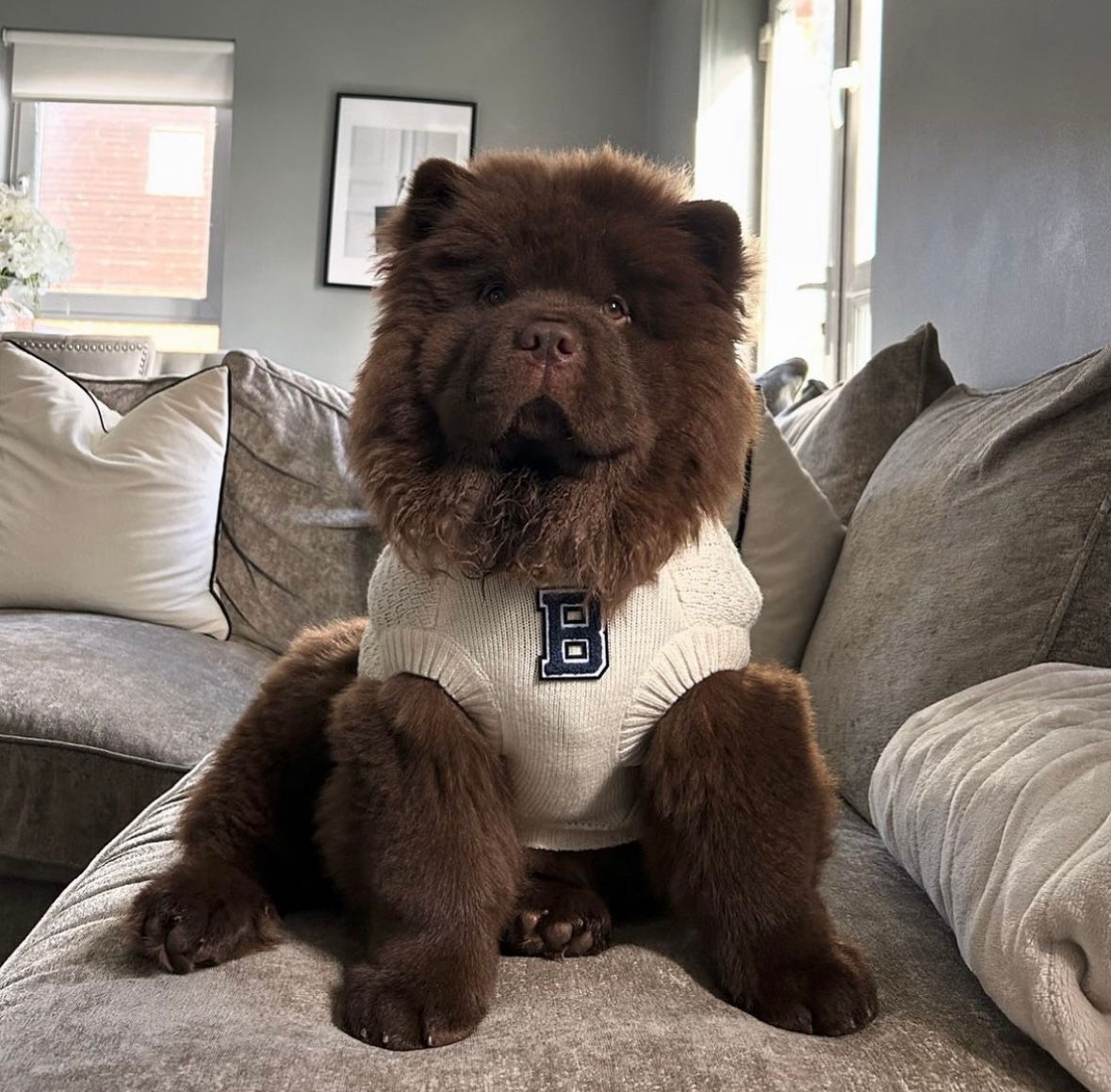 Cosy Club Custom Sweater - Cable Knit