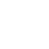 icons8-expert-100 (1).png