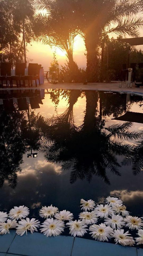 Photo 04-11-2020, 13 59 17.jpg