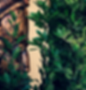 IMG_2292-2.png