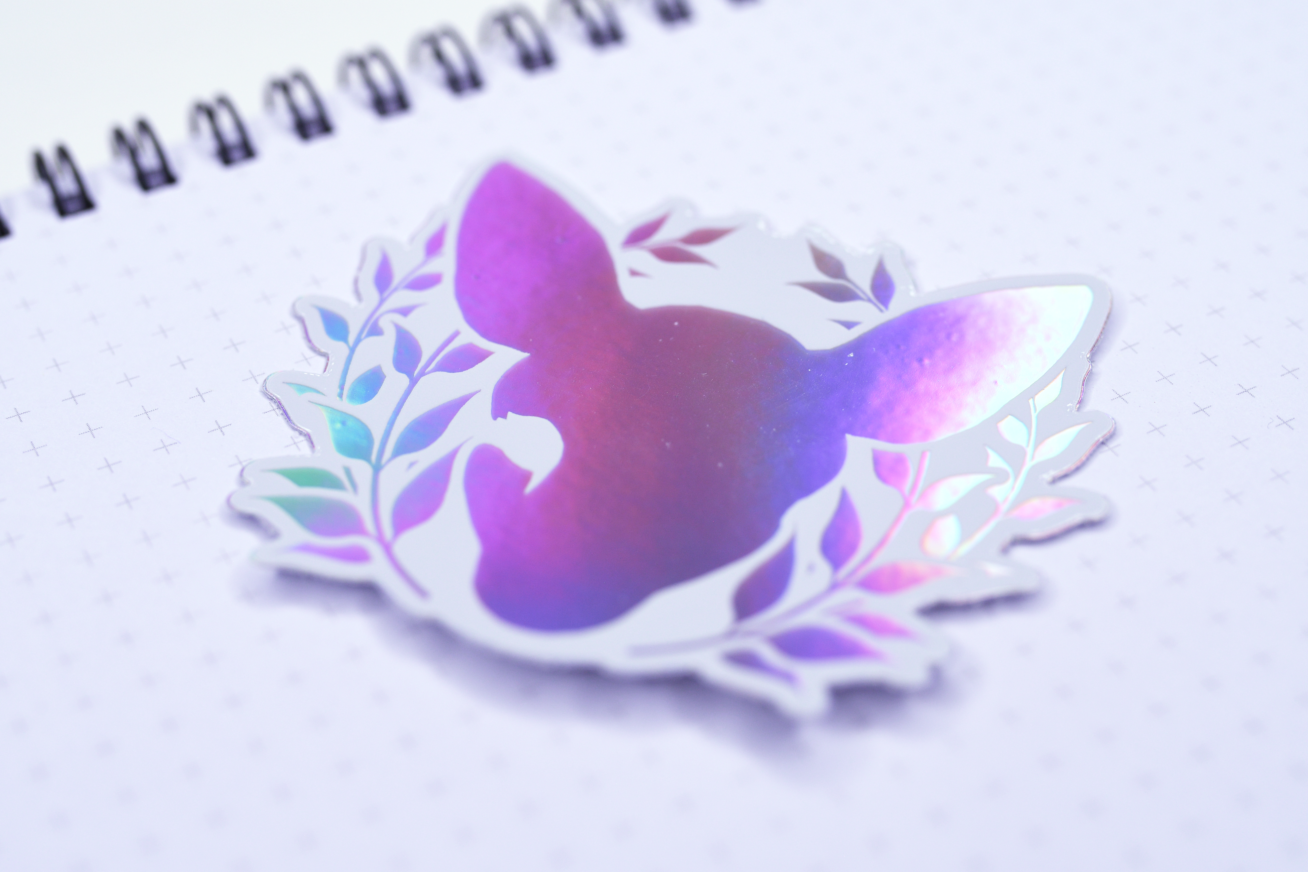 Limited Edition OED Holographic Sticker