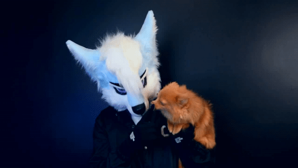 ezgif.com-video-to-gif (1).gif