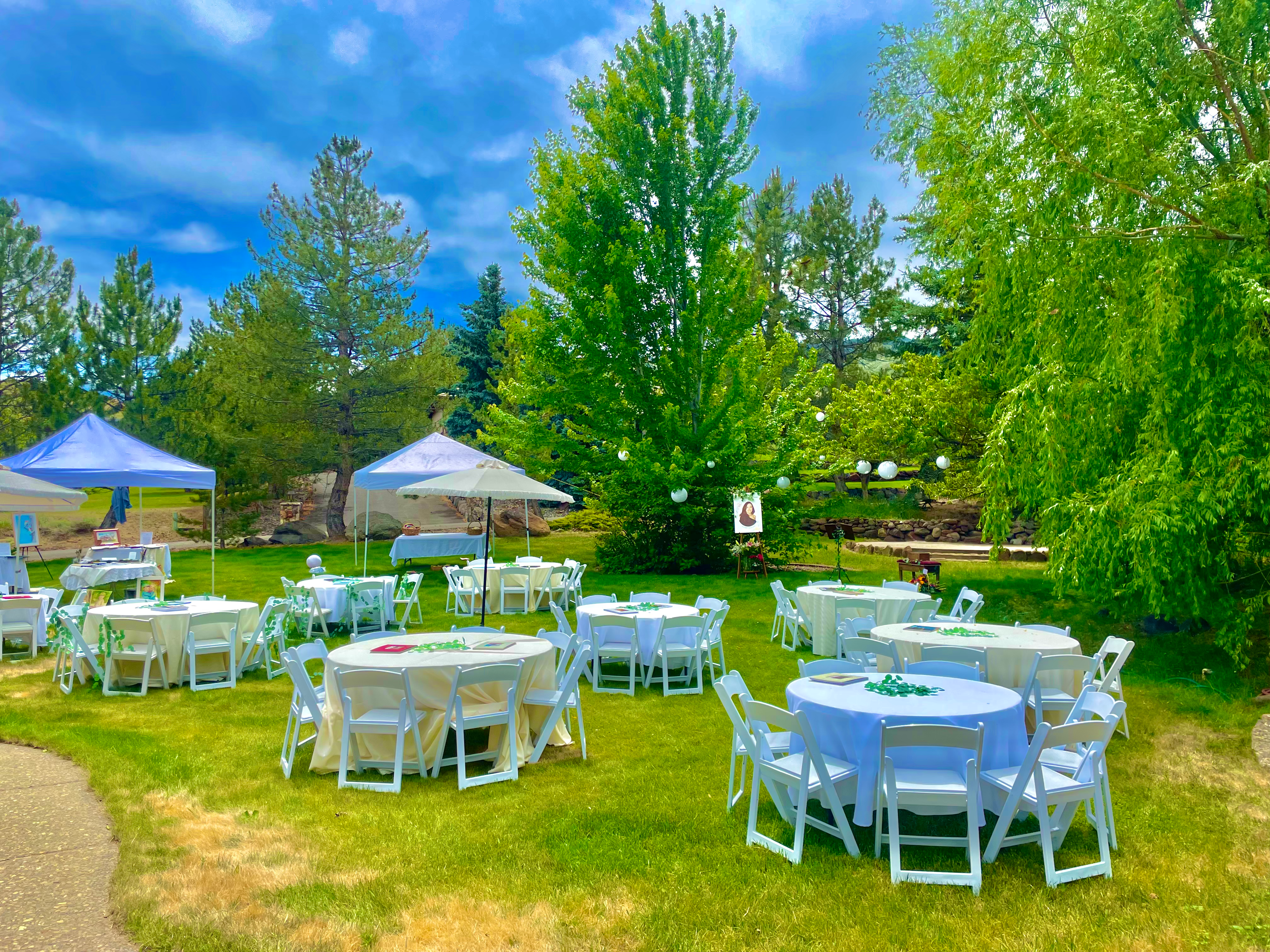 90 Guest Elegant Backyard Package