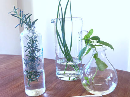 Four vases on a wooden table, containing assorted green herbs