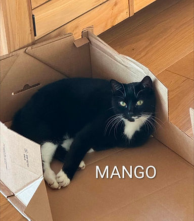 Unknown.jpeg