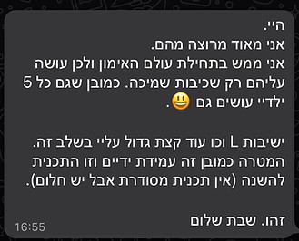 המלצה 12
