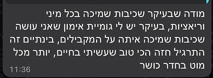 המלצה 13
