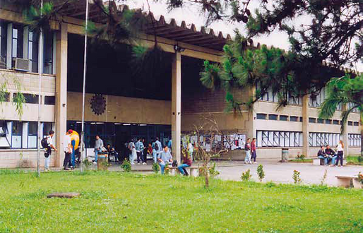 image (19).png