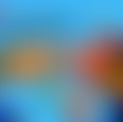 Competition Tweedy's circus