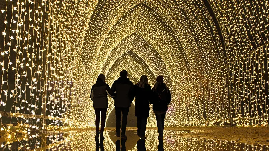 christmas light trail
