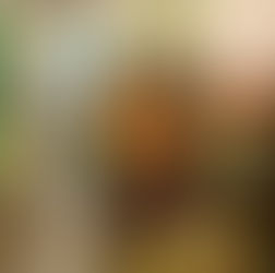 Paddington Bear Experience review