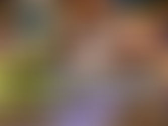 Mrs Armitage on Wheels Review