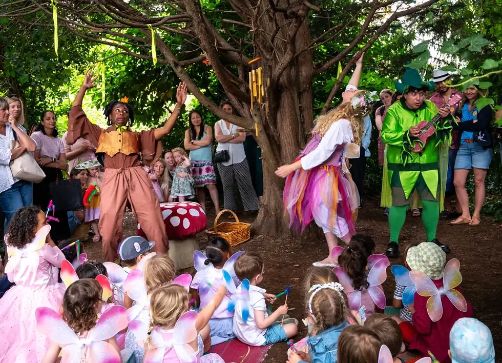 fairy and pixie land