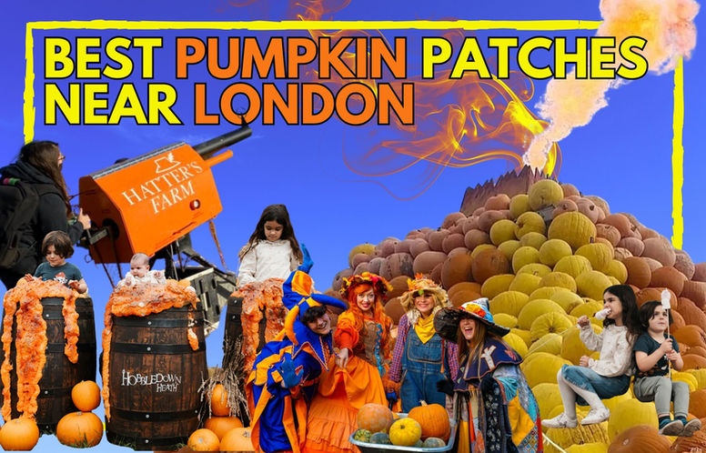 Best pumpkin patches