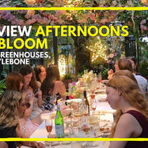 afternoons in blooms review