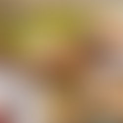 Dazzling Kappo Dining Experience Brings Kyoto to London