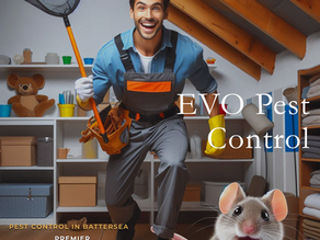 Bed Bug Prevention and Treatment: How to Identify and Eliminate Bed Bugs