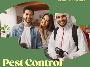 Bugged Out? The Ultimate Guide to Pest-Proofing Your Home Year-Round