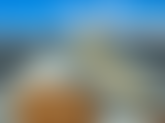 What Is the Best Material for Fascia Boards?