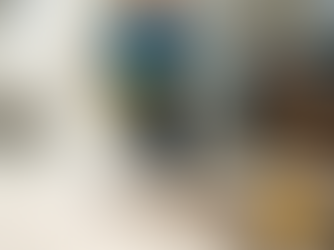 The Hidden Threat of Carpet Moths: A Guide by Carpet Cleaning Pros