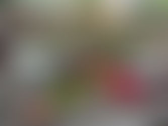 交通意外索償案件中，賠償金額一般分為幾個項目：