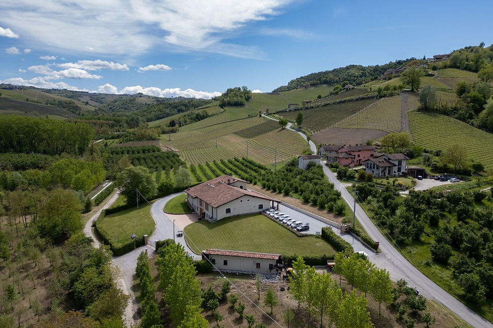 Josetta Saffirio oltre il Barolo
