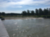 IMG_3683.jpeg
