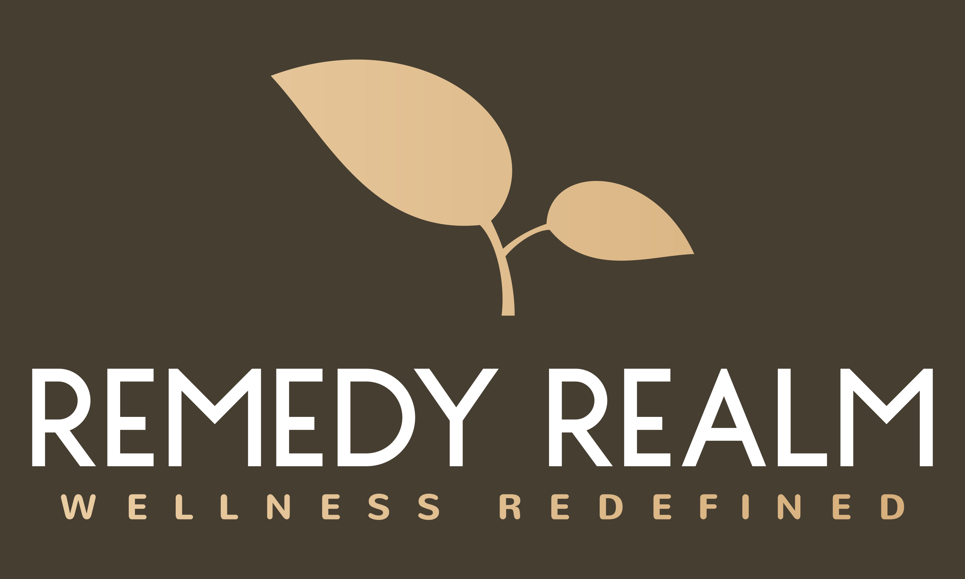 Writer: Remedy Realm