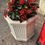 Thumbnail: Pair Of Stone Planters Plant Pots Urns Column Pots With Kimma Japonica Shrubs