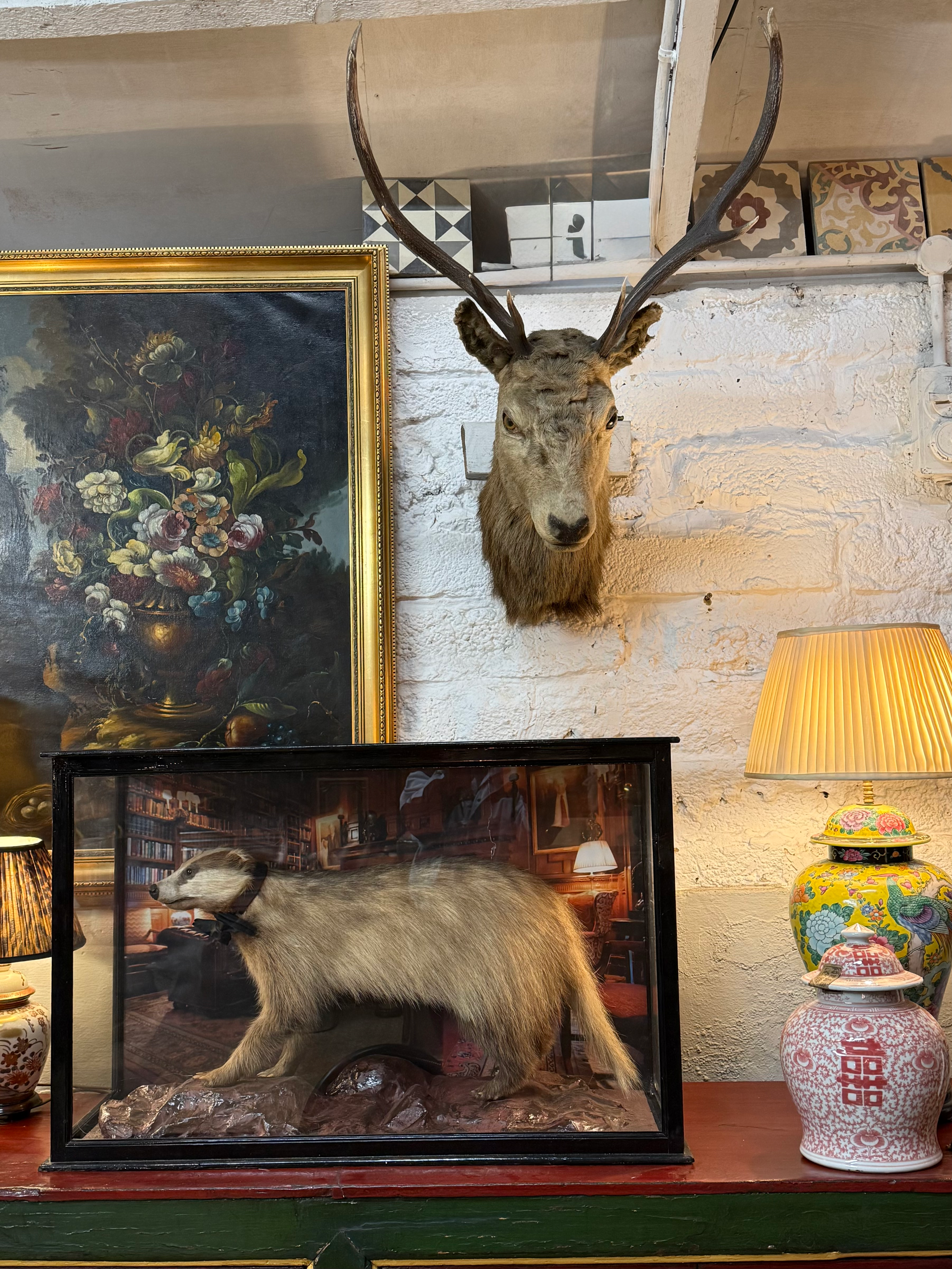 Taxidermy Stag Head 9 Point Stags Head