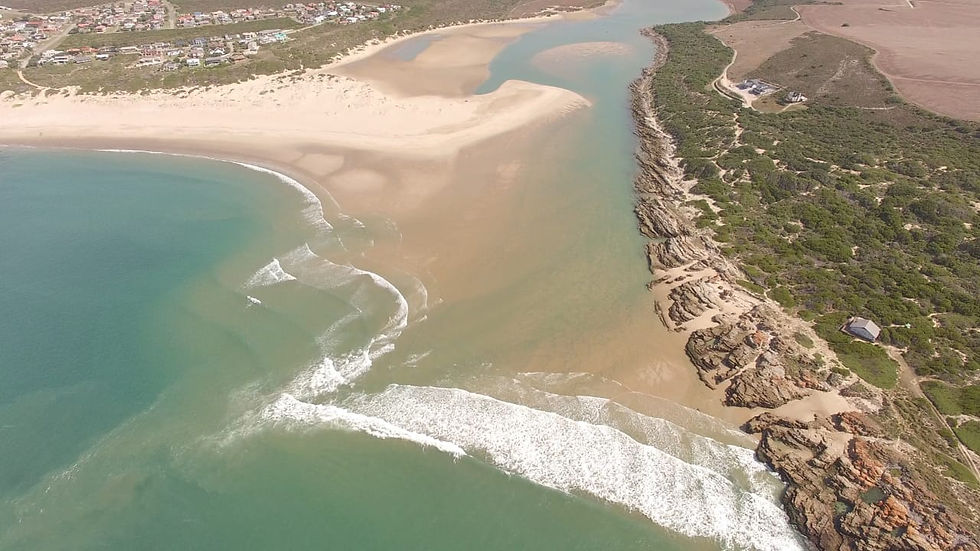 WhatsApp Image 2025-08-19 at 11.26.04.jpeg