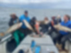 vis groep foto.jpeg