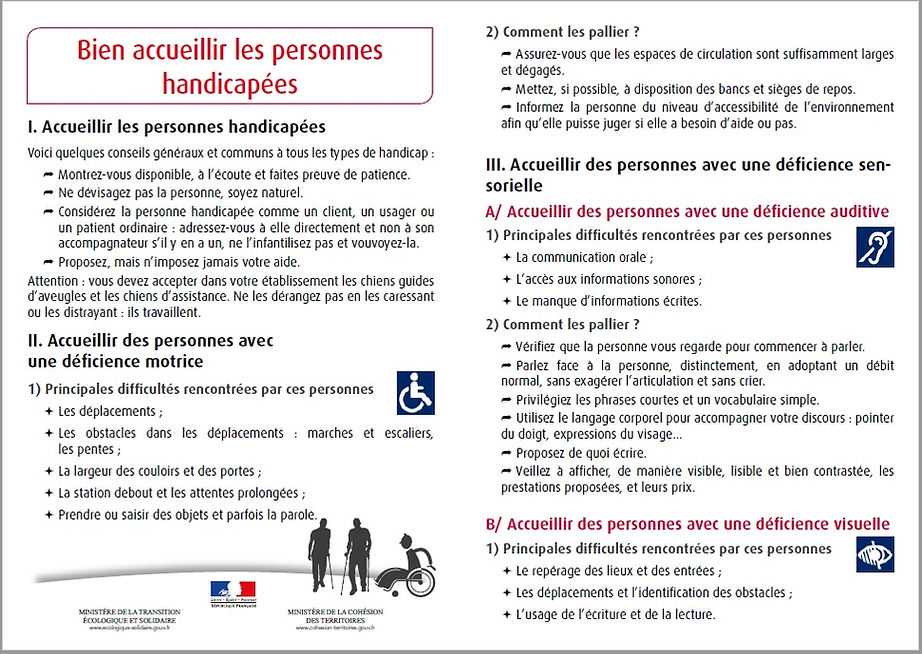 Bien accueillir les personnes handicapées Apivet Formation