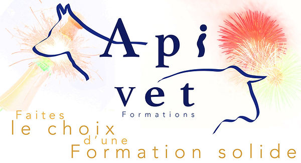 100% de réussite pour les stagiaires d'Apivet Formation